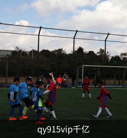 qy915vip千亿介绍